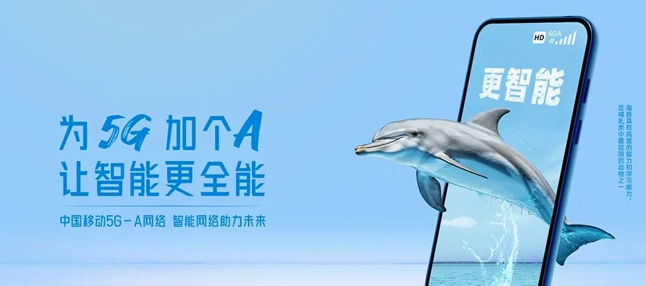 盐源县盐源县梅子坪乡 移动宽带